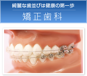 綺麗な歯並びは健康の第一歩／矯正歯科